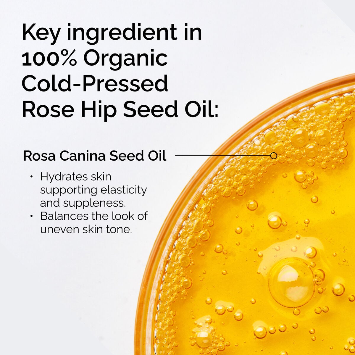 100-organic-cold-pressed-rose-hip-seed-oil-h5 FY25-D41247-ORD-Web-PDP-100-Rose-Hip-Oil-1x1-EN-2.jpg