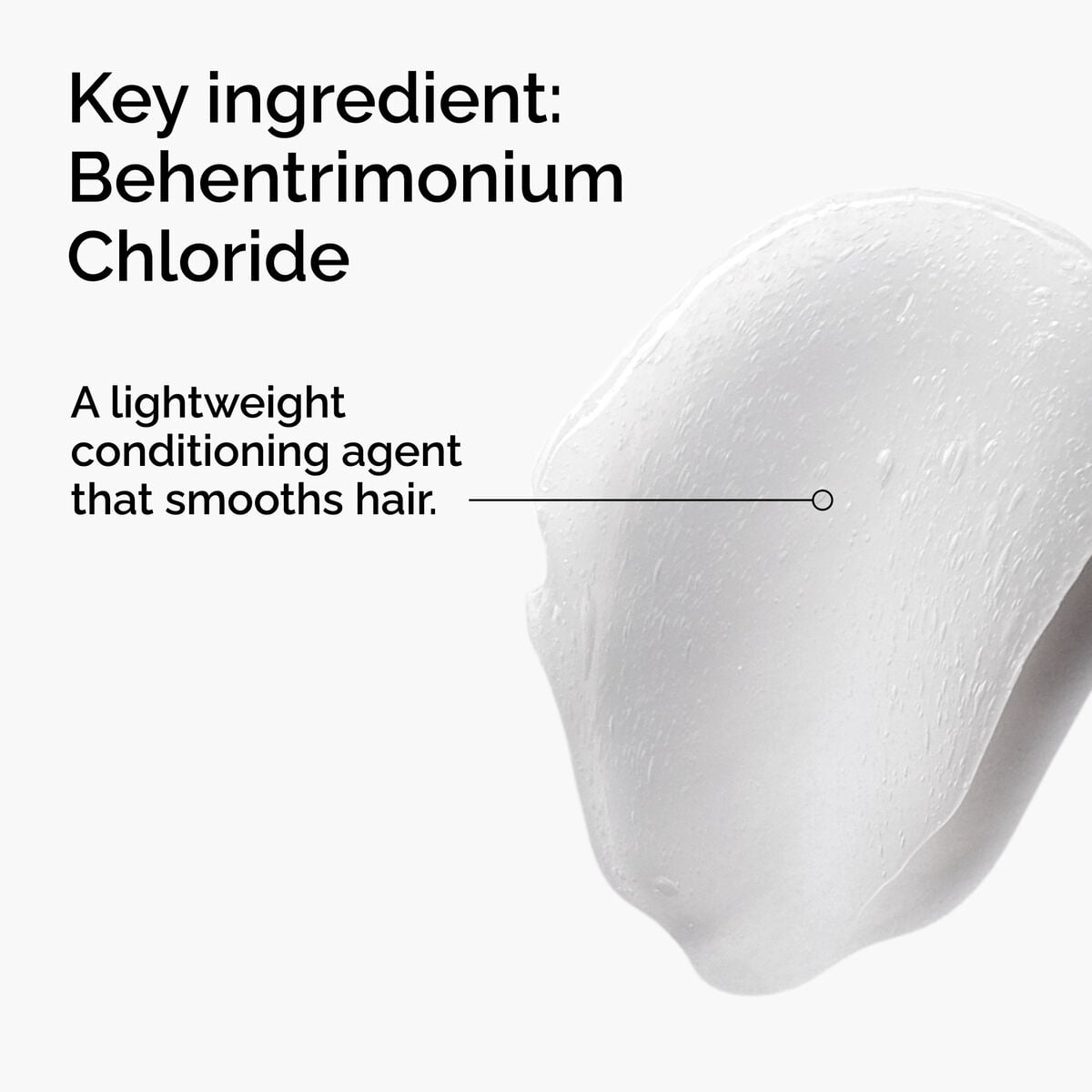 behentrimonium-chloride-2-conditioner-d0 FY25-D41247-ORD-Web-PDP-BTC-1x1-EN-2a.jpg