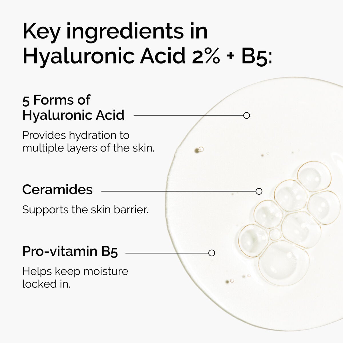 hyaluronic-acid-2-b5-with-ceramides-t4 ord-hyaluronic-acid-2pct-b5-hydrating-serum-ingredients-graphic.jpg