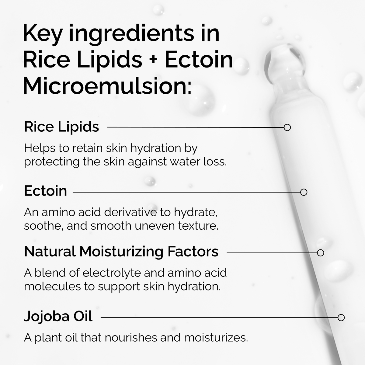 rice-lipids-ectoin-microemulsion-t1 ord-rice-lipids-ectoin-microemulsion-key-ingredients.png