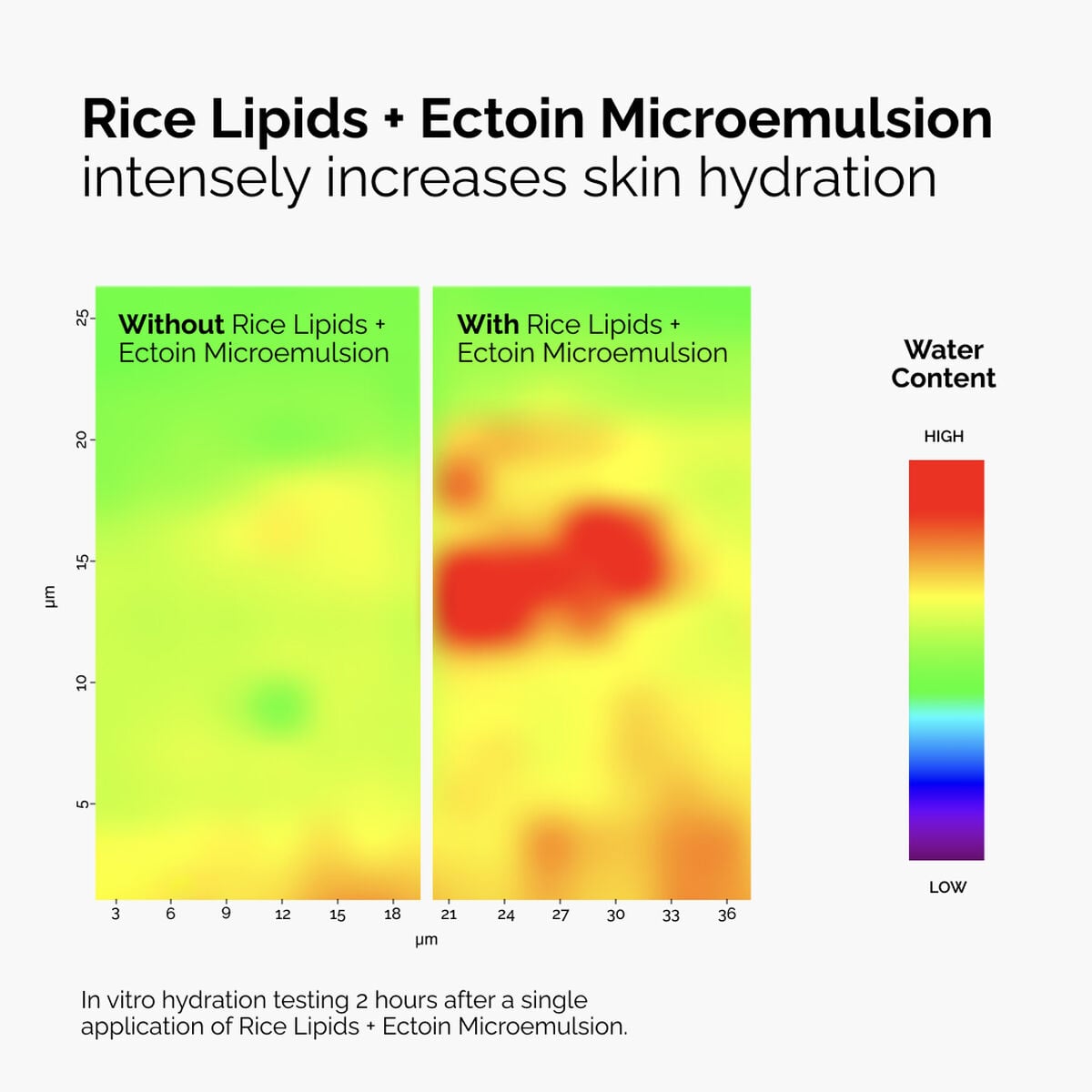 rice-lipids-ectoin-microemulsion-t1 ord-rice-lipids-ectoin-microemulsion-thermal-before-after.jpg